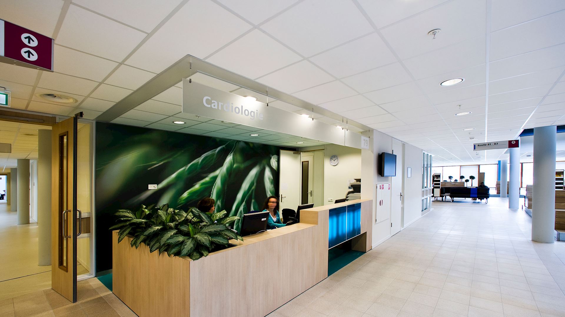 2500x1406px_rockfon-medicare-standard